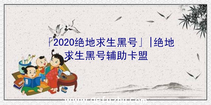 「2020绝地求生黑号」|绝地求生黑号辅助卡盟